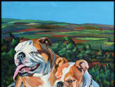 perros