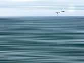 mediterraneo. (en calma)