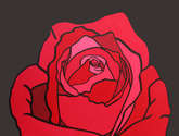 rosa