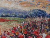campo de amapolas