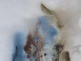 quietud