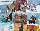 caballos estudio dos