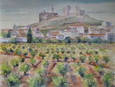 viñas en la rioja