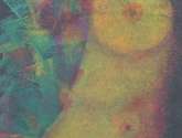 desnudo 1