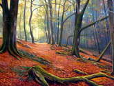 entrada al bosque