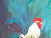 mi gallo