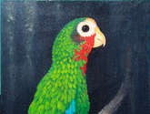 cotorra joven