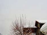 navidades en francia - 10-01.0029