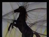 caballo negro