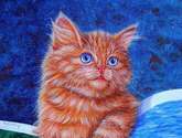 ilustrado