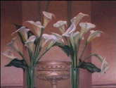 calas