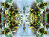 fractal de coral