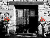 portal rustico