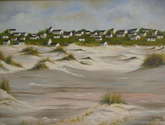 arenas del cabo polonio