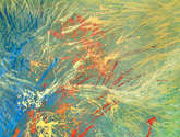 inmersion. estudio de color no.1