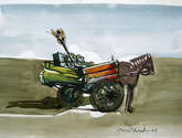 caballo rosarino