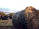 c-9 naturaleza enrollada