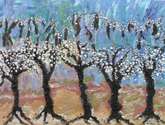 almendros en flor