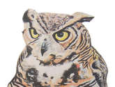 búho