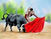 toro y torero