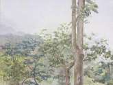 bosc encantat