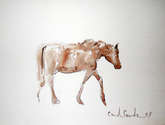 caballo