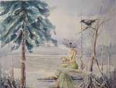 lady swamp
