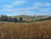 campos de castilla