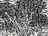 árbol - grabado
