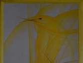 canario