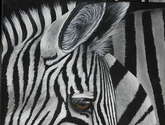 blanco y negro
