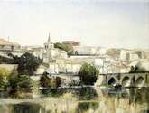 panorámica de zamora