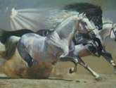 estampida en arena