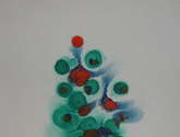 abeto navideño