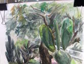 jardín americano
