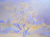 paisaje