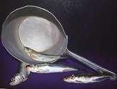 sardinas