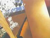 color calor iv