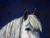 retrato de caballo