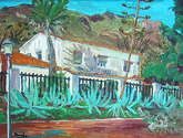 casa de rodalquilar con pitas