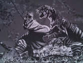 pelea de tigres
