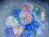 aster