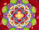 flower of soul