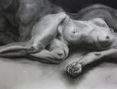 estudio desnudo femenino