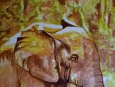 elefante africano