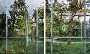 Alarcón Criado | JORGE YEREGUI El herbario Fundación Cartier, París Fotografía color siliconada bajo metacrilato Colour photograph siliconed under plexiglass 153 x 240 cm díptico diptych