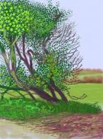 David Hockney  La llegada de la primavera en Woldgate, East Yorkshire (veinte-once) - 12 de abril, No. 1  [The Arrival of Spring in Woldgate, East Yorkshire in 2011 (twenty-eleven) - 12 April, No. 1]  2011  Cortesía del artista