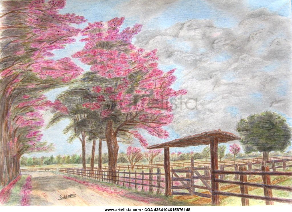 Arboles De Macuili Esteban Roldan Artelista Com Sección de los mejores lápices de colores para dibujo y colorear, lápices acuarelables, lápices difuminadores o blender de las mejores marcas. arboles de macuili esteban roldan artelista com