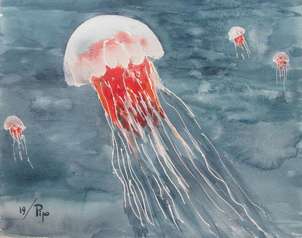 medusas