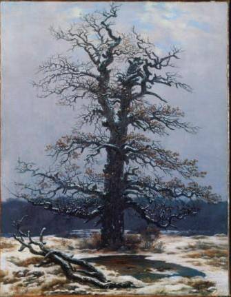 Caspar David Friedrich Greifswald, 1774 – Dresde, 1840 Roble en la nieve Óleo sobre lienzo. 44 x 34,5 cm Wallraf-Richartz-Museum & Fondation Corboud, Colonia